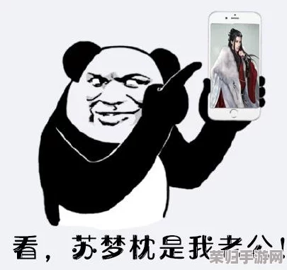 逆水寒天赐SSR卡实力盘点：甄选最强限定卡牌，个性化培养策略全攻略指南
