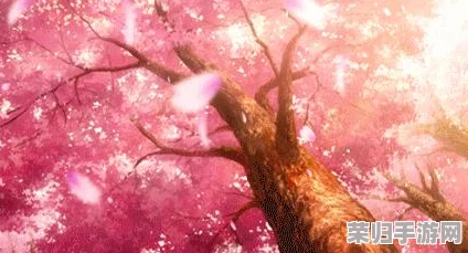 樱花动漫官方正版入口怎么进？详细步骤及使用评价分享