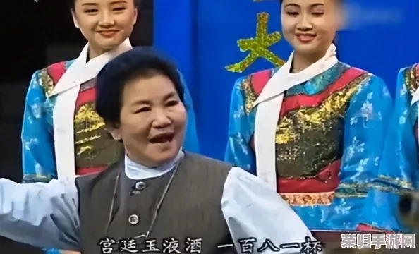 沈阳老阿姨最后的巅峰沈阳45：一场感人至深的情感旅程，展现了岁月的无尽魅力与坚韧