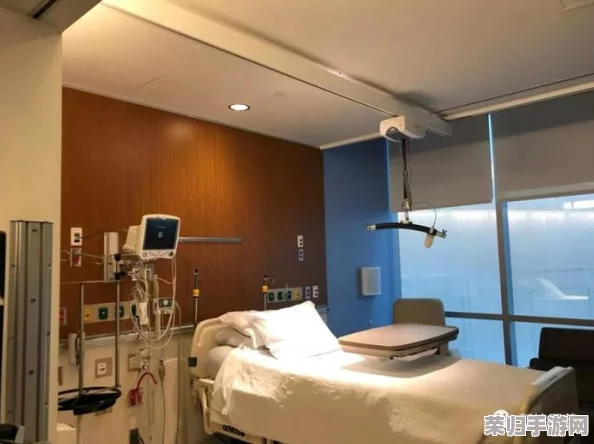 私人医院的特殊治疗日本：评析其医疗质量与患者体验的独特之处