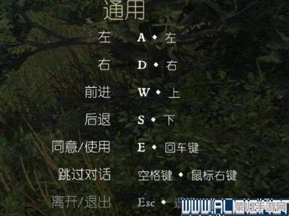 《天国拯救之旅：特丽莎救援全策略手册》——独家攻略，详尽指引助你完美通关之路