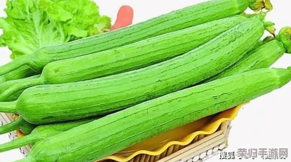 丝瓜视频下载69视频下载草莓视频：畅享多元内容，用户热评引领下载新风潮！