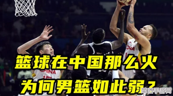 中国篮球生手冲s网站：网友热评称其为新手必备的实用指南，助你快速掌握篮球技巧与战术！
