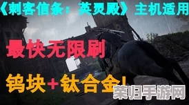 最强地狱考核寸止挑战：勇者无畏，极限生存与团队协作的终极对决！