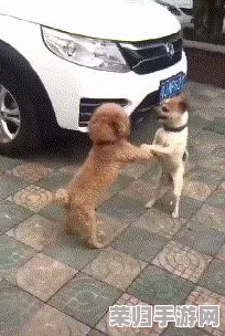 两人生猴子全程不带被子!网友直呼“太可爱”、“萌化了” 两人生猴子全程不带被子!网友直呼“太可爱”、“萌化了”