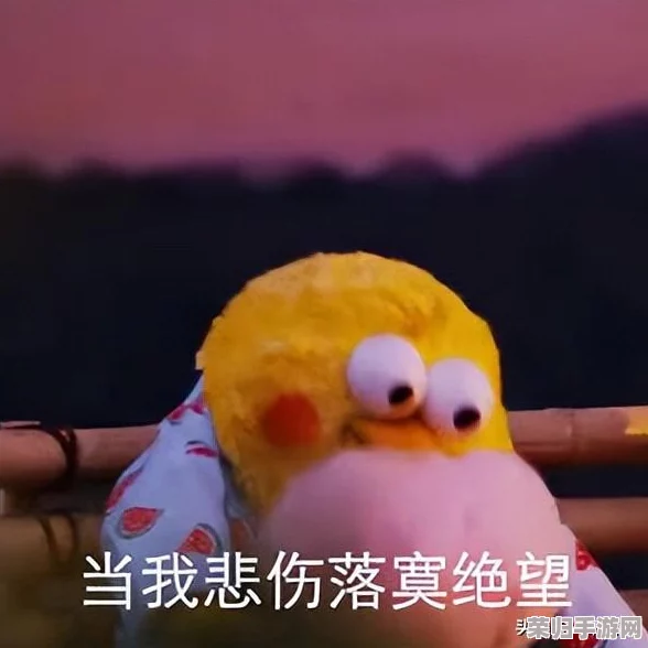 两人生猴子全程不带被子!网友直呼“太可爱”、“萌化了” 两人生猴子全程不带被子!网友直呼“太可爱”、“萌化了”