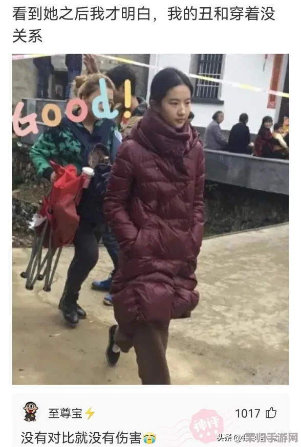 战盟纷争：精准策略下的法相优选与高效升级全攻略指南