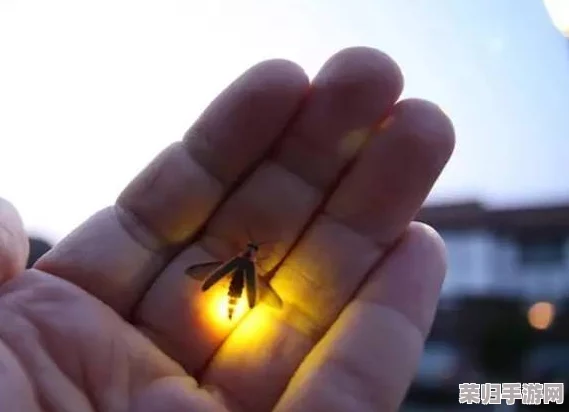 流萤自我奖励被发现：一种独特而令人惊讶的行为展示