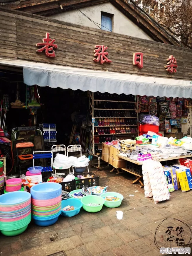 探索时光杂货店特产贸易的独特玩法：策略规划至交易达成的全方位指南