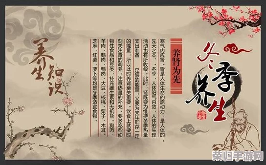 国风按摩院：体验传统文化与现代养生完美结合的舒适之旅