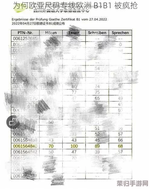 欧亚尺码专线欧洲b1b1免费，畅享时尚购物新体验与优质服务