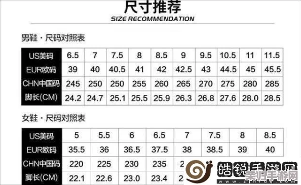 欧亚尺码专线欧洲b1b1免费，畅享时尚购物新体验与优质服务