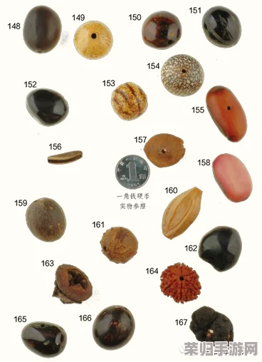佛目珠全收集攻略：从用户反馈出发，挖掘最全收集技巧与精彩见解！
