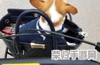 公交车肉欲高潮好大好爽受不了，乘客意外邂逅激情瞬间引发热议与讨论