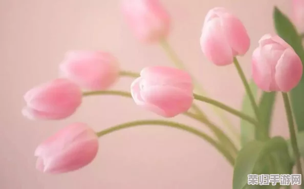 《江湖如梦》手游攻略：精心培育红颜伴侣，解锁情缘深度养成秘籍