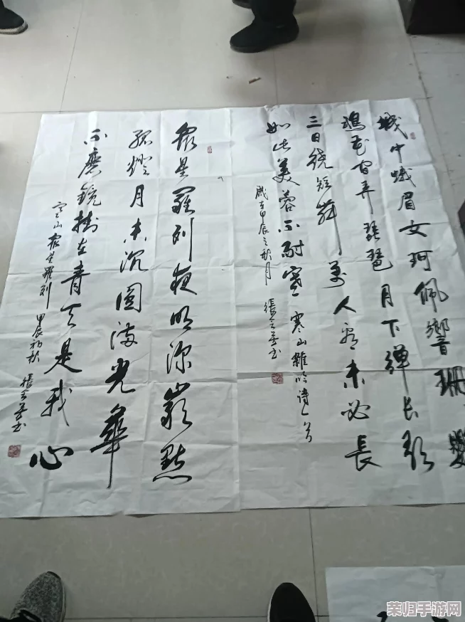 圐圙嘦嫑馫龘飝鱻灥麤靐飍朤淼譶：探讨传统文化与现代生活的深度融合与碰撞体验