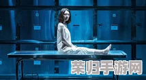 海角大事件：揭开神秘失踪案背后的真相与阴谋，震撼全城的故事