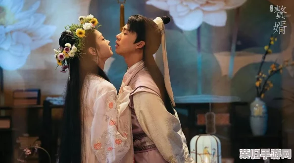 星空无限影视传媒有限公司赘婿：一场关于爱情与权力的精彩较量，带你领略不一样的视听盛宴！
