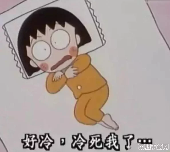 晚上睡不着偷偷看b站，竟然让我发现了许多有趣的冷知识和精彩视频！