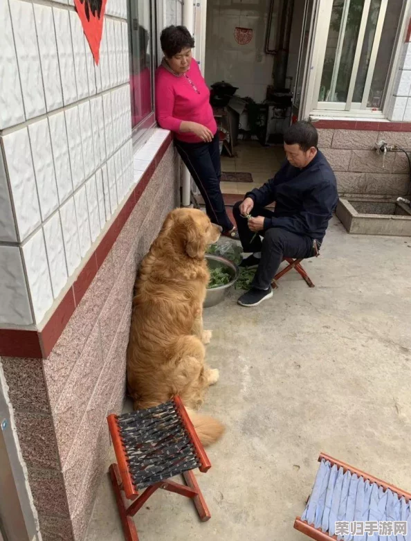 两人生小猴子不盖被子：这是一段感人至深的父母之爱，令人动容