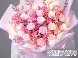 八尺夫人意大利 满天星 最新下载安装，体验全新功能