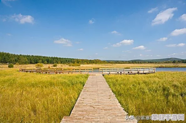 篝火2：探索未知海域的航海贸易策略与被遗忘土地生存全指南