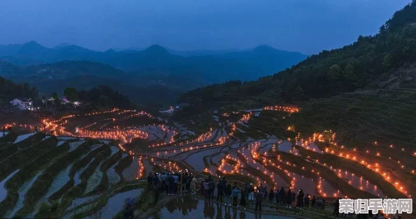篝火2：探索未知海域的航海贸易策略与被遗忘土地生存全指南