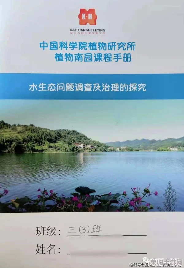 探索纳塔秘境，解锁龙脉山川成就：每日委托引领下的奇幻之旅——'龙之守望与山巅之约