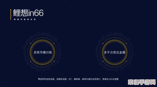 未来人生黑日集团硬盘：如何在数字时代掌控个人数据与隐私安全的全新策略与挑战