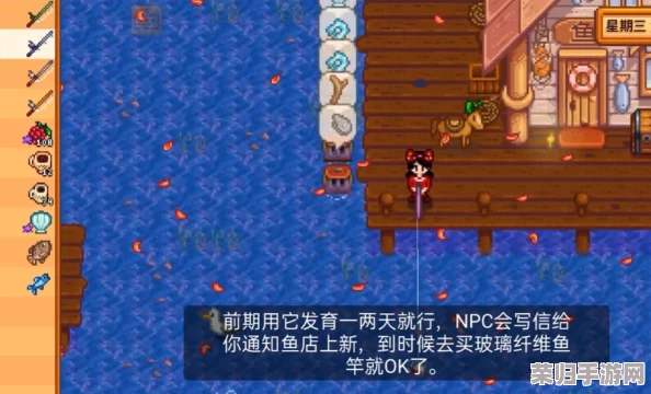 星露谷物语：高效捕蟹秘籍——掌握精准放置诱饵于蟹笼的绝妙技巧