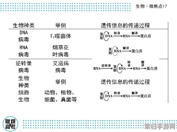 1819xxxx：探讨如何提高学生的阅读理解能力，有效促进课堂教学效果