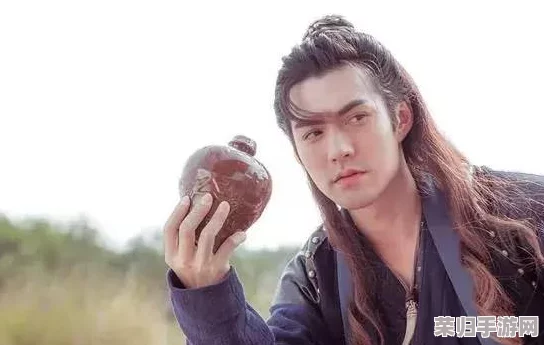 《武侠Q传》深度探索：西门吹雪传人江湖轨迹与社会网络揭秘，身份谜团与背景交织的传奇之旅