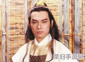 《武侠Q传》深度探索：西门吹雪传人江湖轨迹与社会网络揭秘，身份谜团与背景交织的传奇之旅