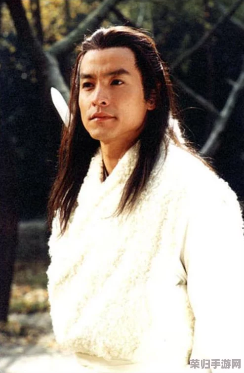 《武侠Q传》深度探索：西门吹雪传人江湖轨迹与社会网络揭秘，身份谜团与背景交织的传奇之旅