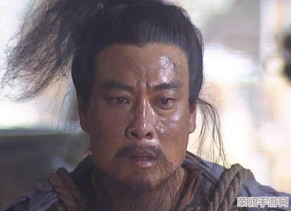 三国志战略版：匠心定制同盟法令内容指南，构建高效协作蓝图的官方模板示例