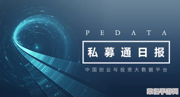 探索超数据世界的无限疆域：勇气在于驾驭信息洪流，引领未来创新航向