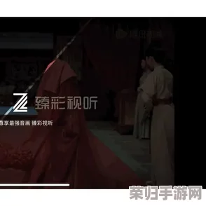 兽皇VideO另類HD：一场视觉与听觉的极致盛宴，带你领略不一样的影音体验！