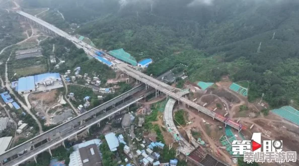 2024年精选！竹林疾驰的忍者跑酷盛宴：挑战极限速度，探索神秘竹海，热门游戏下载推荐