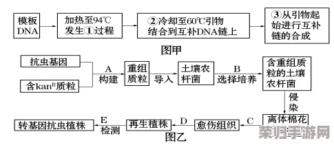 非洲人性功能强大的环境因素分析及其重要性评价