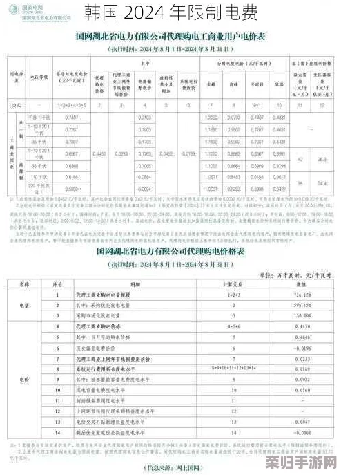 韩国限制电费2024：环保、可持续发展、节能减排等热门词汇