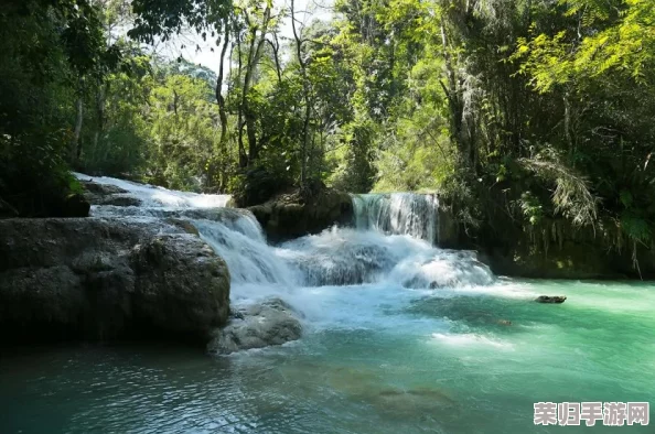创意打造林间秘境:水潭与河流布局指南,营造自然流动的小世界美学策略 创意打造林间秘境:水潭与河流布局指南,营造自然流动的小世界美学策略