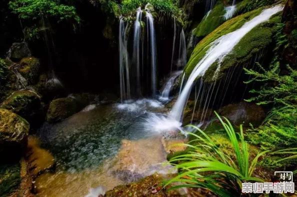 创意打造林间秘境:水潭与河流布局指南,营造自然流动的小世界美学策略 创意打造林间秘境:水潭与河流布局指南,营造自然流动的小世界美学策略