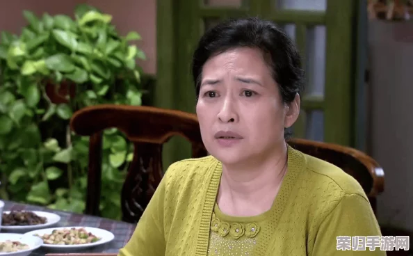 家有三个媳妇陈淑蓉婆媳关系解析：网友热议家庭和谐与冲突背后的深层次原因