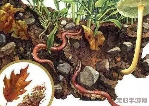 男女错错错差：当代情感关系中的误解与沟通障碍分析
