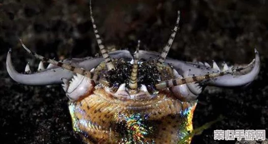 探索《我的起源》沙虫生态：精准掌握刷新时间与地点，高效狩猎策略揭秘