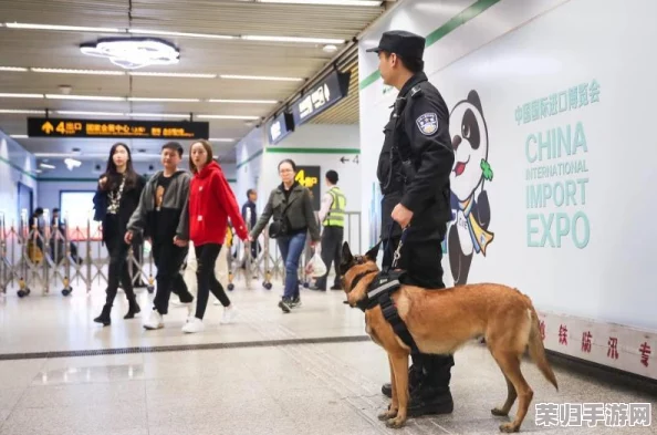 优化地铁逃生体验:探索三指操作下的最佳灵敏度设置,提升你的生存与逃脱效率 优化地铁逃生体验:探索三指操作下的最佳灵敏度设置,提升你的生存与逃脱效率