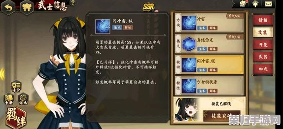 酒井忠胜领衔的执剑阵容构建策略：全方位武士搭配与战斗优化指南