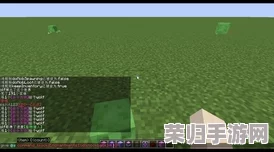 探索Minecraft世界:全面解析光明方块指令的创意应用与效果展现 探索Minecraft世界:全面解析光明方块指令的创意应用与效果展现