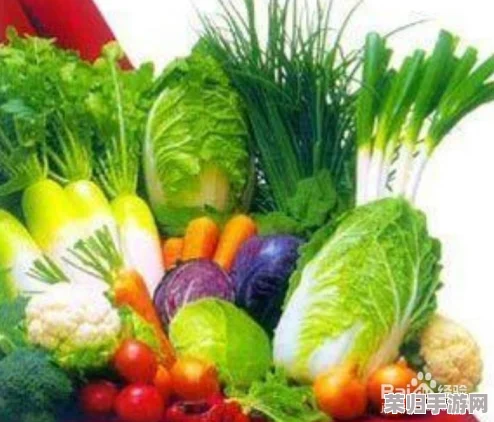 拨萝卜不盖被子吗?揭秘秋冬季节的生活小常识与健康饮食技巧 拨萝卜不盖被子吗?揭秘秋冬季节的生活小常识与健康饮食技巧