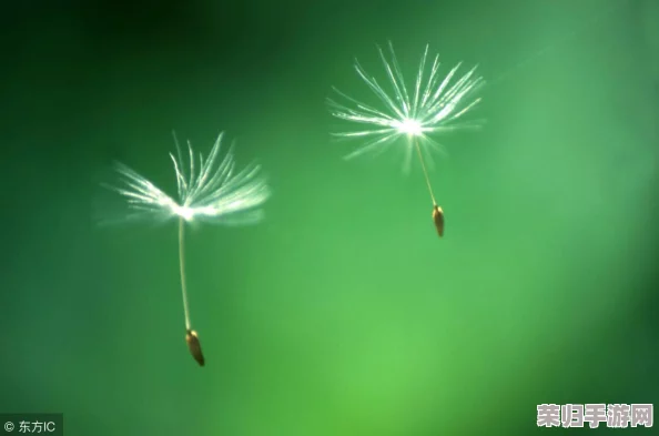 120秒午夜体验区5次,网友热评“仿佛置身梦境,刺激与惊喜交织的绝妙旅程” 120秒午夜体验区5次,网友热评“仿佛置身梦境,刺激与惊喜交织的绝妙旅程”